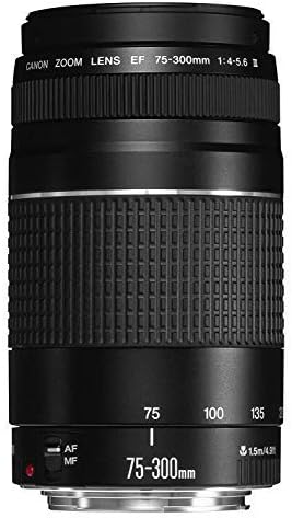 Canon EF 75-300mm f/4-5.6 III Telephoto Zoom Lens for Canon SLR Cameras - Image 6