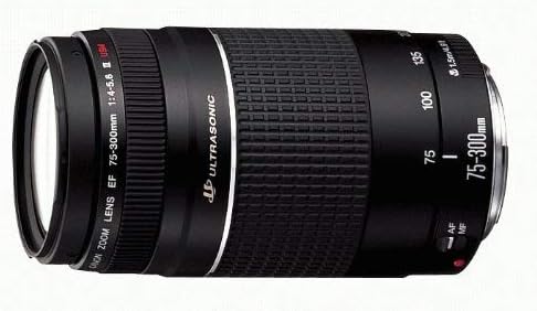Canon EF 75-300mm f/4-5.6 III Telephoto Zoom Lens for Canon SLR Cameras - Image 5
