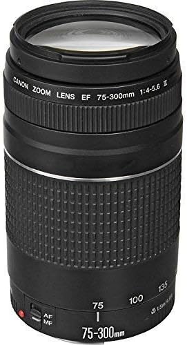 Canon EF 75-300mm f/4-5.6 III Telephoto Zoom Lens for Canon SLR Cameras, 6473A003 (Renewed) | SLR Cameras, Has a filter thread diameter of 58mm and offers a diagonal - Image 3