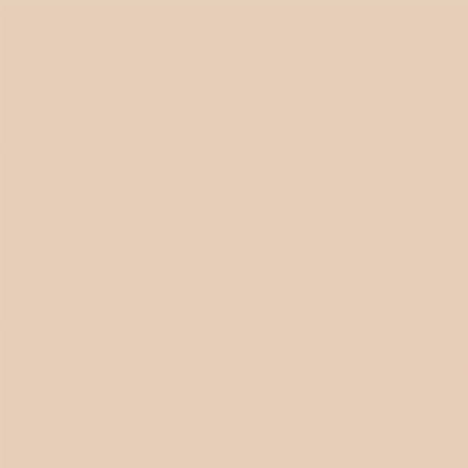 Denny Mfg Seamless Paper Backdrop for Photoshoot, Buff, 53 in x 36 ft | Photography Backdrop, Matte Finish for Portraits, Product Photos and Video Shoots, with Free Roll Gaffer Tape (2 in x 13 ft) - Image 9