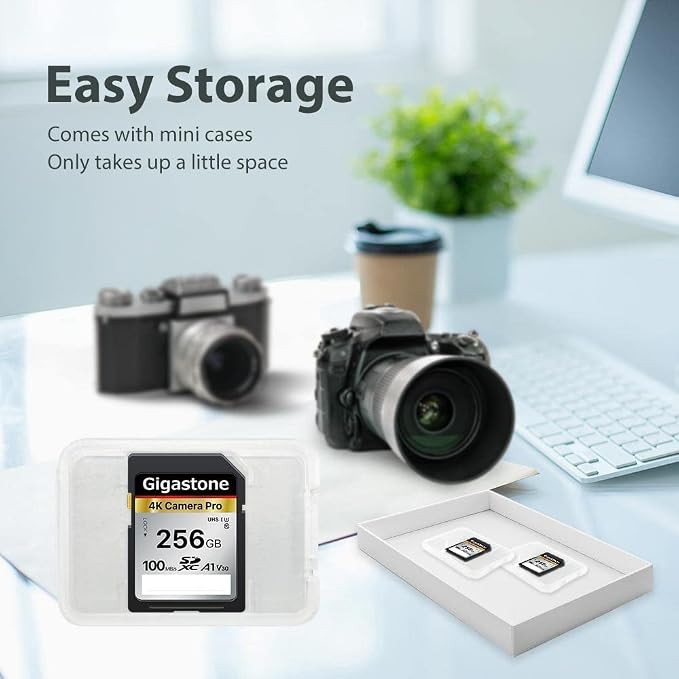 【5-Years Data Recovery】 GIGASTONE 256GB SD Card, 4K Camera Pro, UHS-I A1 V30 SDXC Memory Card 4K UHD Video Speed up to 170MB/s Compatible with Digital Camera, with 1 Mini Case - Image 8