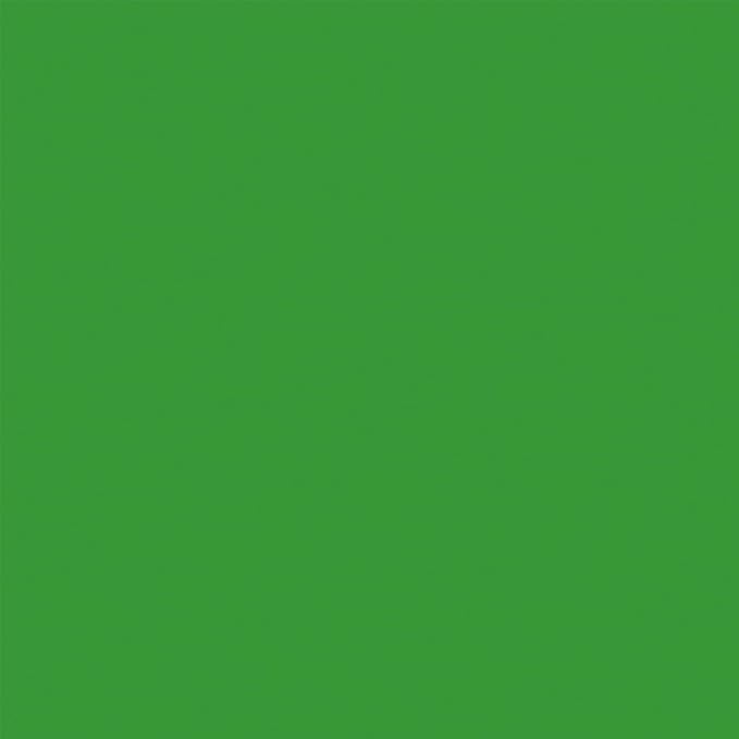 Denny Mfg Seamless Paper Backdrop for Photoshoot, Green Screen, 53in x 36ft | Backdrop Roll, Matte Finish for Portraits, Product Photos and Video Shoots, Includes Free Roll Gaffer Tape (2 in x 13 ft) - Image 8