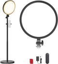 NEEWER Basics 13" 45W Large Ring Light with 66" Stand, 3000K-6500K CRI95+ Full Screen LED Panel Lighting with Phone Holder/Remote for Video Recording Selfie Streaming Makeup Studio Photography, BR45B by Neewer