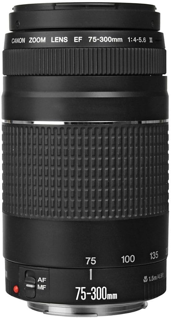 Canon EF 75-300mm f/4-5.6 III Telephoto Zoom Lens for Canon SLR Cameras, 6473A003 (Renewed) | SLR Cameras, Has a filter thread diameter of 58mm and offers a diagonal - Image 2