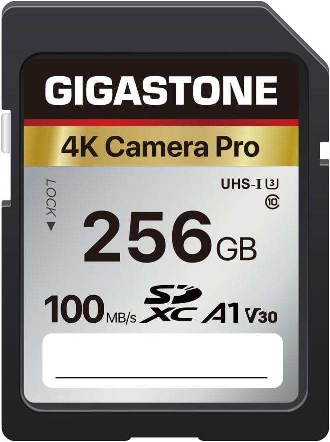【5-Years Data Recovery】 GIGASTONE 256GB SD Card, 4K Camera Pro, UHS-I A1 V30 SDXC Memory Card 4K UHD Video Speed up to 170MB/s Compatible with Digital Camera, with 1 Mini Case by Gigastone