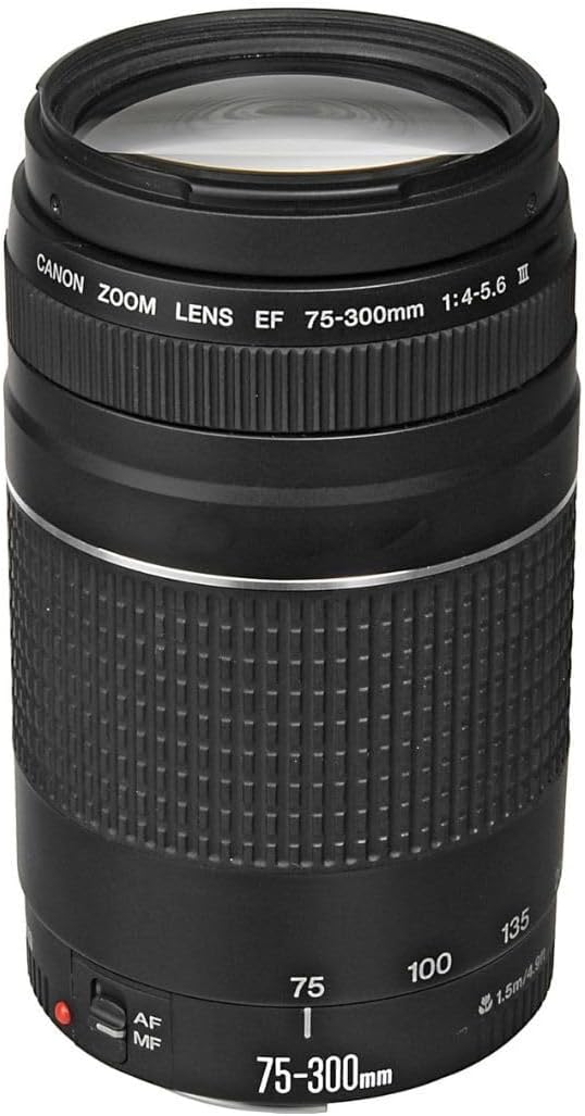 Canon EF 75-300mm f/4-5.6 III Telephoto Zoom Lens for Canon SLR Cameras, 6473A003 (Renewed) | SLR Cameras, Has a filter thread diameter of 58mm and offers a diagonal by Amazon+Renewed