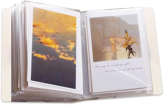 4x6 Photo Albums Storage, Picture Book for 4x6 Photos, Clear Cover Portfolio Folder for Postcards, Art Books Card Holds for Artwork, Wedding Journey Photo Book, 40 Pages Hold 80 Pictures by Guqqeuc