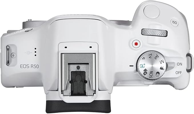 Canon EOS R50 Mirrorless APS-C Interchangeable Lens Camera Body White 5812C002 Bundle with Photography Bag + Photography Protocol Ebook + 2 x Battery + 128GB Memory Card + Accessories Kit - Image 6
