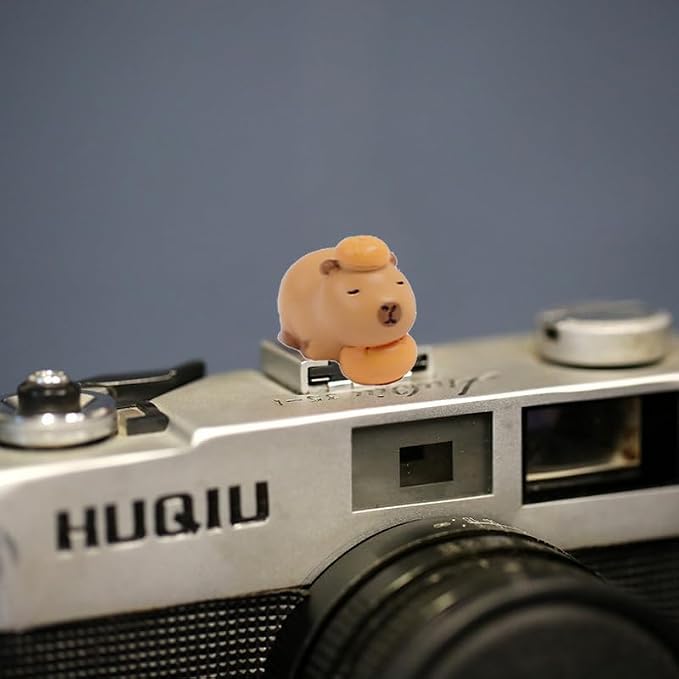 Camera Hot Shoe Cover, Cute Hot Shoe Cap, Hot Shoe Protector Compatible with Sony Fujifilm Fuji Canon Nikon Pentax Leical Panasonic (2pcs Capybara) - Image 7