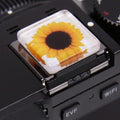 Foto&Tech Camera Hot Shoe Cover Compatible with Sony FX30 FX3 A7R V Full-Frame Cinema Camera (Sunflower) by FOTO%26TECH