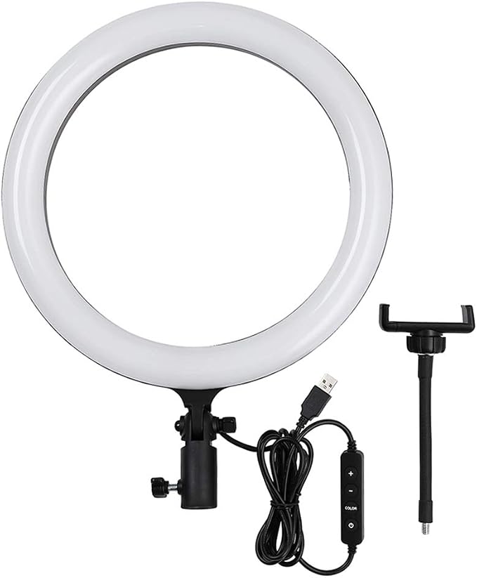 GODOX LR120 12 Inch LED Ring Light Photography Light Fill-in Light 3000K-6000K Bi-Color Temperature Adjustable Brightness USB Powered with Phone Holder for Live Streaming Selfie Makeup Photography by GODOX
