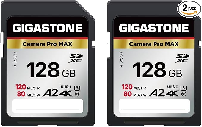 【5-Years Data Recovery】GIGASTONE 128GB SD Card 2-Pack 4K Camera Pro MAX, UHS-I A2 4K SDXC Memory Card High Speed 4K UHD Video Speed up to 160MB/s Compatible with Kodak Digital Camera with 2 Mini cases by Gigastone