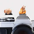 Camera Hot Shoe Cover, Cartoon Hot Shoe Cap, Hot Shoe Protector Compatible with Sony Fujifilm Fuji Canon Nikon Pentax Leical Panasonic (2pcs Motorcycle Capybara) by MENGSOOD