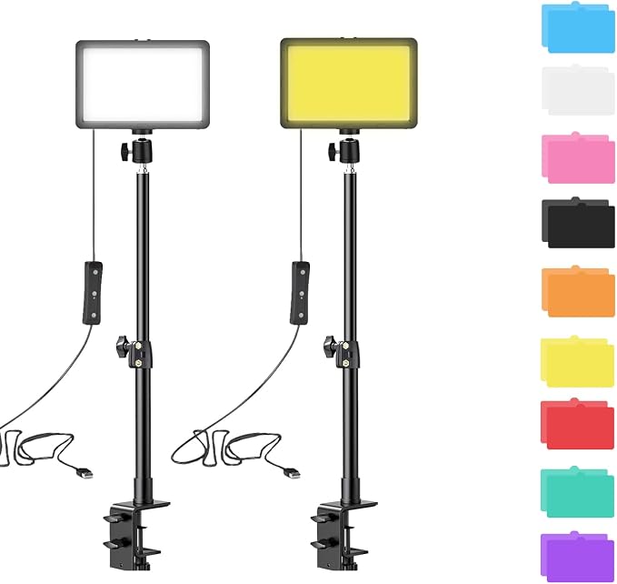 2 Pack Streaming Key Light with Desk Stand C-Clamp Stand Dimmable Video Panel Light for Video Recording Conference Webcam Laptop Zoom by SWDPORT