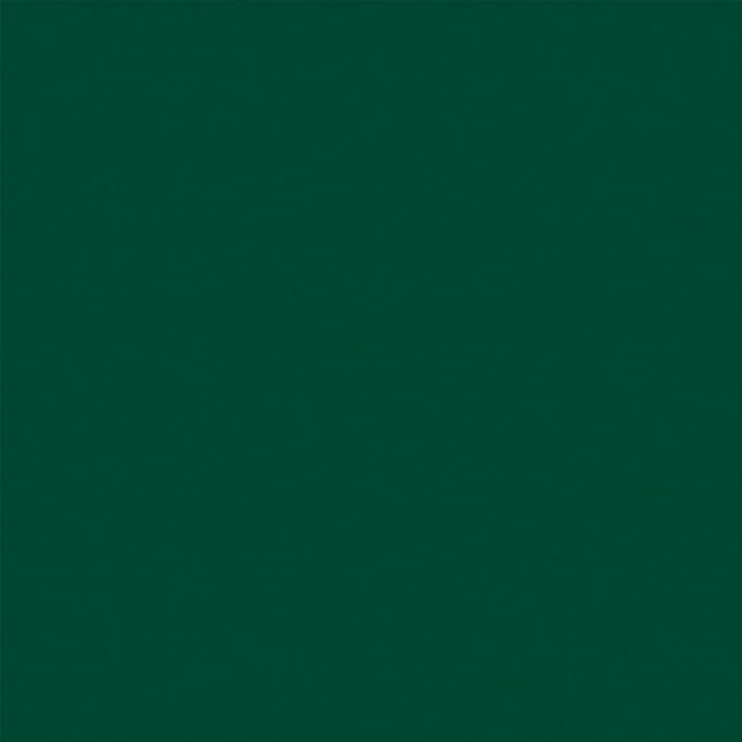 Denny Mfg Seamless Paper Backdrop for Photoshoot, Pine Green, 86 in x 36 ft | Photography Backdrop, Matte Finish for Portraits, Product Photos and Video Shoots, with Free Roll Gaffer Tape (2 in x 13 ft) - Image 2