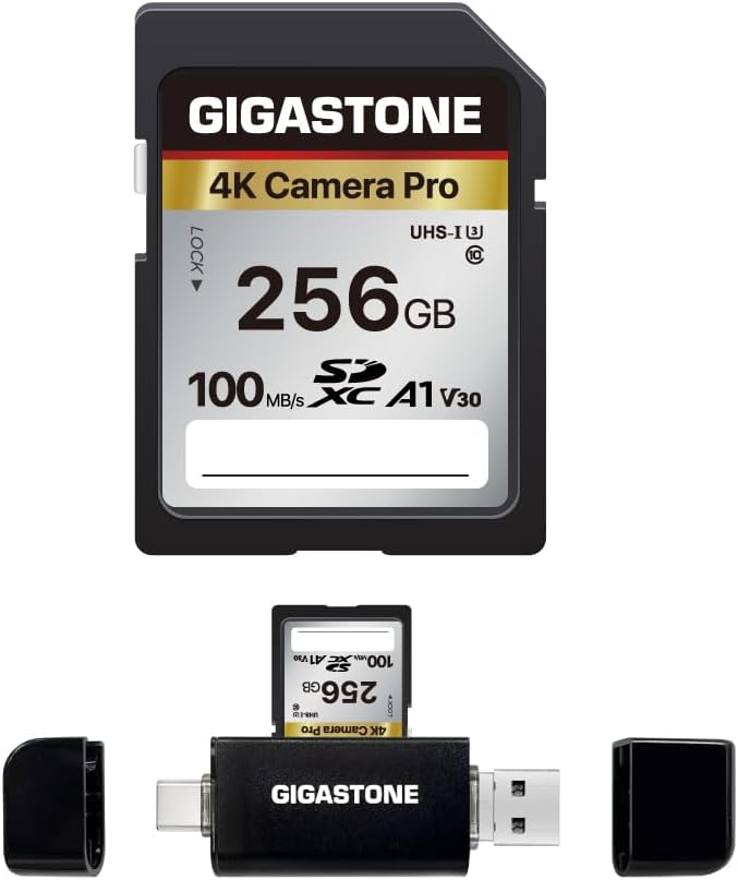 【5-Years Data Recovery】 GIGASTONE 256GB SD Card with USB Type C Card Reader, 4K Camera Pro, UHS-I A1 V30 U3 SDXC Memory Card Speed up to 170MB/s Compatible with Digital Camera, with 1 mini case by Gigastone