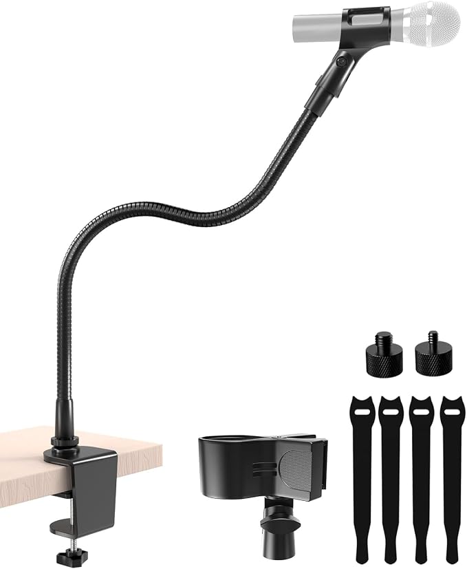 19" Gooseneck Microphone Stand for Desk, Clamp-On Arm with Heavy-Duty Clamp | 5/8-to-3/8 & 1/4 Adapters, Black Steel, Sturdy Clip, Easy Clamp-On Mount, for Podcast, Pulpit, Podium, Studio, Broadcasting by EtourAudio