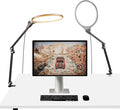 NEEWER Basics 2 Pack 10.5" Streaming Key Lighting, 3000-6500K 15W Full Screen LED Panel Ring Light with Adjustable Arm Stand Desk Clamp Timer for Laptop Computer Video Conference Zoom Makeup, R10 by Neewer