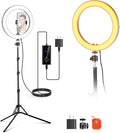 NEEWER 10" 20W High Power LED Ring Light for Phone with 71" Tripod Stand, Bi Color Ringlight, Phone Holder Compatible with iPhone for Video Recording Selfie Makeup Studio Live Streaming TikTok, RH10B by Neewer