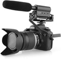 TAKSTAR SGC-598 Photography Interview Shotgun MIC Microphone for Nikon Canon DSLR Camera (Need 3.5mm Interface)Auxiliary by TAKSTAR