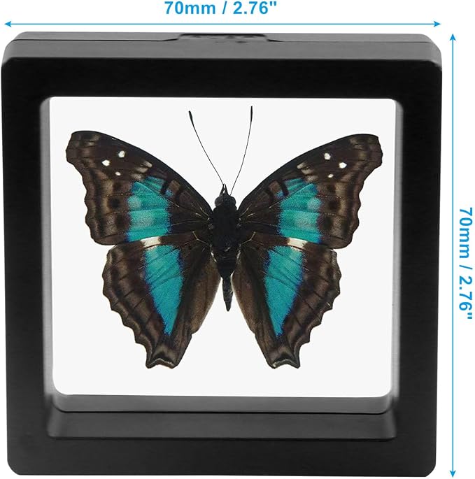 3D Floating Display Case, 2.7x2.7 Inch, 20Pcs | Clear Film, Jewelry Storage Box, For Coins Fossils Rocks, Collectors - Image 5