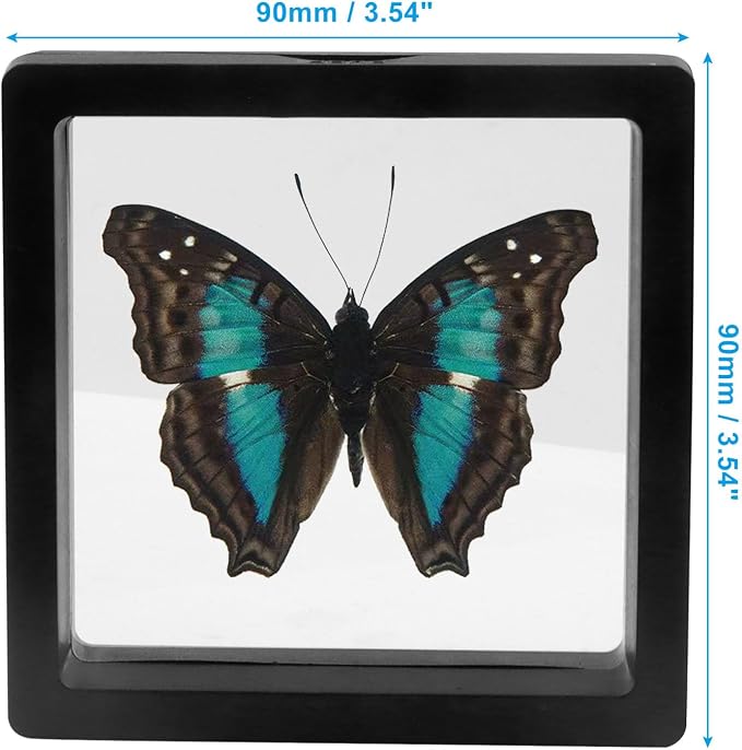 12Pcs 3D Floating Display Case, 3.5x3.5 Inch | Clear Film, Jewelry Storage Box, With Base, For Coin Fossils Rocks Collectors - Image 5
