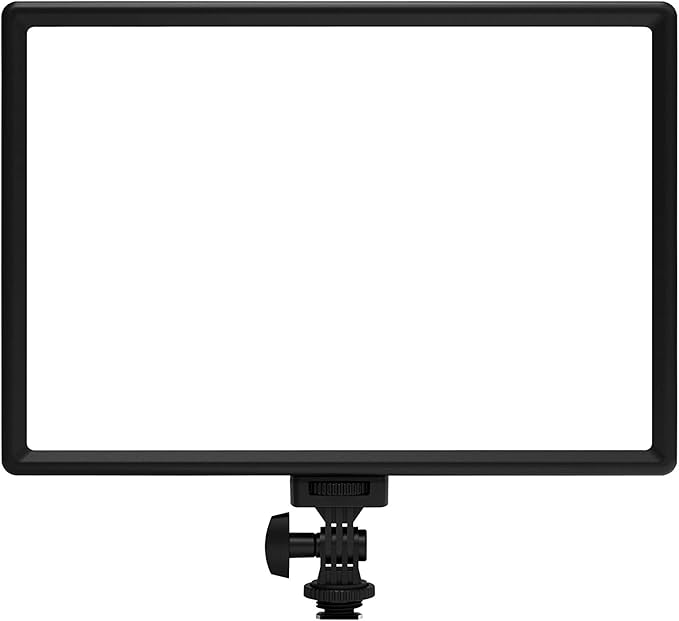 White LED Video Light for Camera with Built-in 4000mAh Battery | 2500k-6500k Bi-Color Photo Light with Cri>95, Supports Type-C USB Power Supply for Pictures, Video Recording & Live Streaming by RaLeno