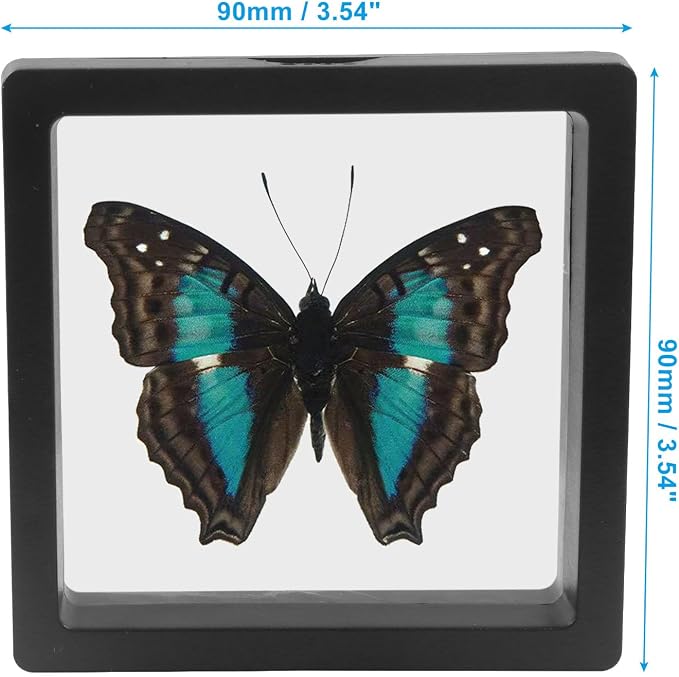 3D Floating Display Case, 3.5x3.5 Inch, 20Pcs | Clear Film, Jewelry Storage Box, For Coins Fossils Rocks, Collectors - Image 5