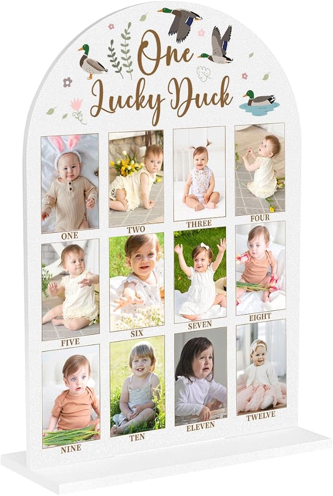 My First Year Photo Board Baby Milestone Signs One Year of Baby Photo Board, Best Babies Keepsake 10x14 Inches Acrylic Sign Decor Fits 2" x 3" Photo A10 by WelcometoMgfyfghj