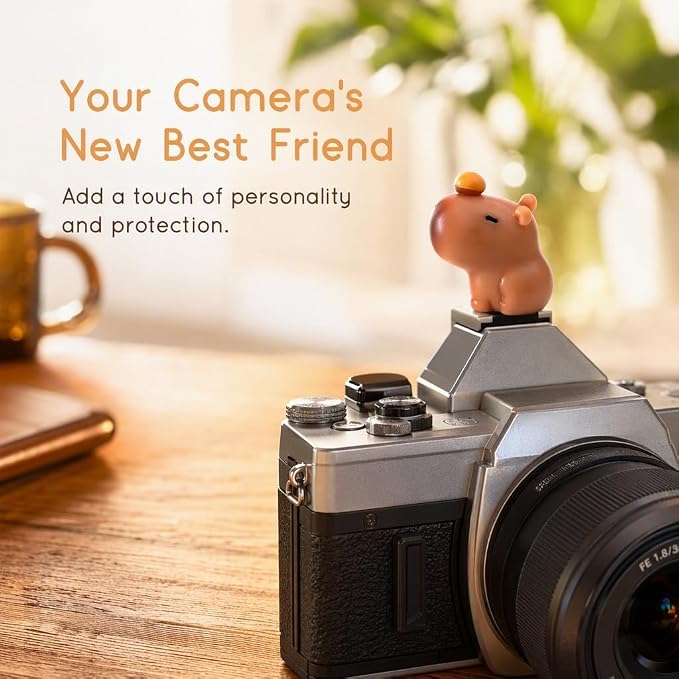 Camera Hot Shoe Cover, Cartoon Hot Shoe Cap, Hot Shoe Protector Compatible with Sony Fujifilm Fuji Canon Nikon Pentax Leical Panasonic (2pcs Sauna Capybara) - Image 3