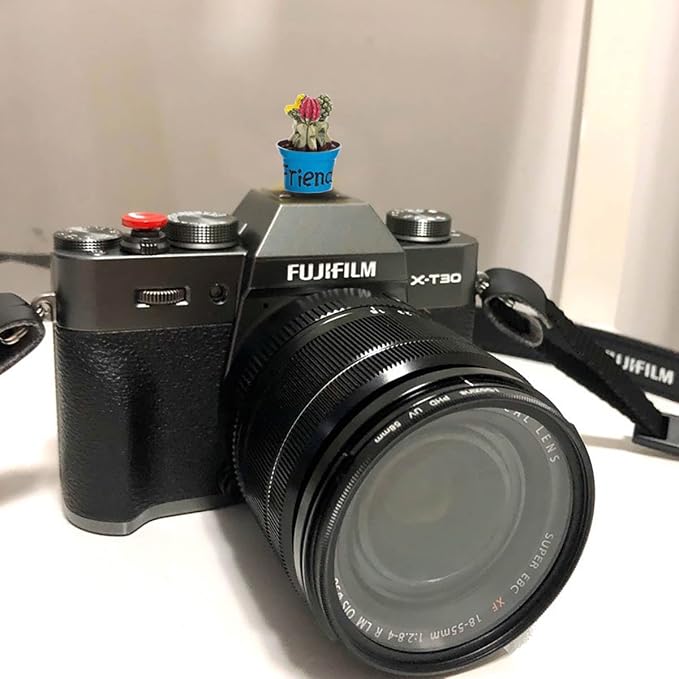 Camera Hot Shoe Cover, Cartoon Hot Shoe Cap, Hot Shoe Protector Compatible with Sony Fujifilm Fuji Canon Nikon Pentax Leical Panasonic (2pcs Friend Flower) - Image 6