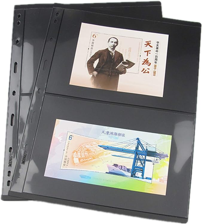 MUDOR Stamp Pages for Stamp Collection Album Binder Book, 10 Sheet 2 Row | 2 Pocket Stamp Sleeves for Collectors ,Stamp Collecting Sheets Supplies,Professional Pack by MUDOR