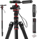 NEEWER BASICS Camera Tripod Monopod, 77" Compact Lightweight Travel DSLR Video Stand 360° Ball Head, Arca Type QR Plate, Reversible Legs, Inverted Central Axis & 2 Cleaning Cloths, 13lb Max Load, TP08 by Neewer