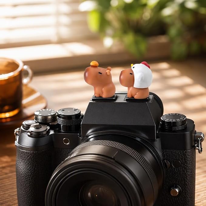 Camera Hot Shoe Cover, Cartoon Hot Shoe Cap, Hot Shoe Protector Compatible with Sony Fujifilm Fuji Canon Nikon Pentax Leical Panasonic (2pcs Sauna Capybara) - Image 5