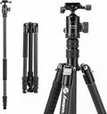 Fotopro 73"/185cm Carbon Fiber Travel Tripod for Camera, 360° Panorama Ball Head, Arca Quick Release Plate, Portable Bag, Compact Travel Tripod Monopod for DSLR Camera Camcorder, Load up to 22lbs/10kg by Fotopro