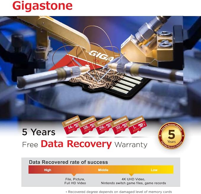 [5-Yrs Free Data Recovery] GIGASTONE 256GB Micro SD Card, 4K Game Pro, MicroSDXC Memory Card for Nintendo-Switch 1, GoPro, Action Camera, DJI, UHD Video, R/W up to 100/60MB/s, UHS-I U3 A2 V30 C10 - Image 8
