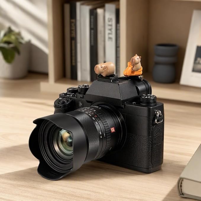 Camera Hot Shoe Cover, Cartoon Hot Shoe Cap, Hot Shoe Protector Compatible with Sony Fujifilm Fuji Canon Nikon Pentax Leical Panasonic (2pcs Motorcycle Capybara) - Image 5