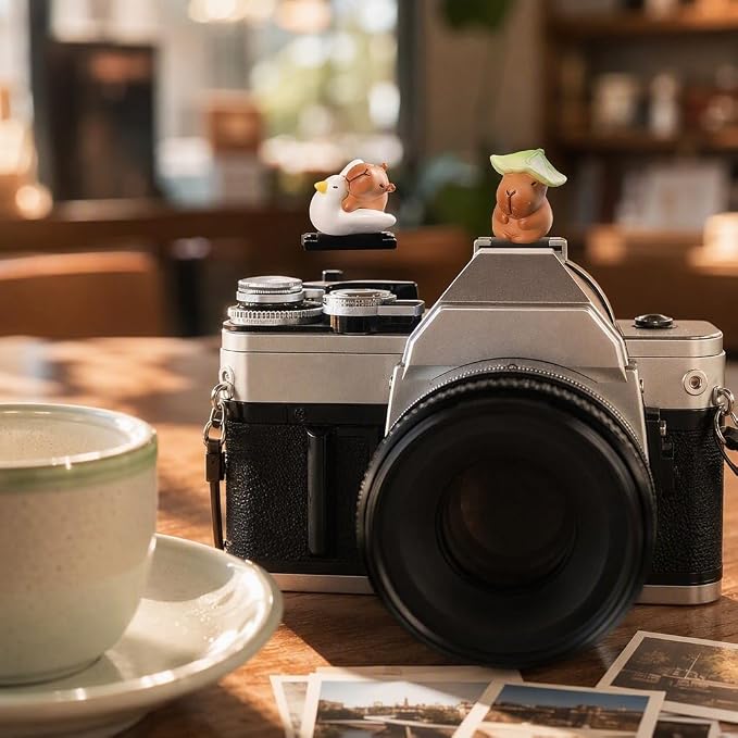 Camera Hot Shoe Cover, Cartoon Hot Shoe Cap, Hot Shoe Protector Compatible with Sony Fujifilm Fuji Canon Nikon Pentax Leical Panasonic (2pcs Fly Capybara) - Image 4