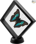 6Pcs 3D Floating Display Case, 4.3x4.3Inch | Clear Film, Jewelry Storage Box, Coin Display Stand, With Base by Unknown