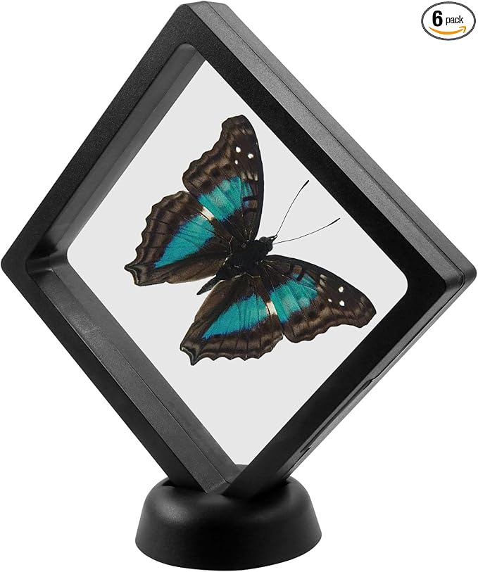 6Pcs 3D Floating Display Case, 4.3x4.3Inch | Clear Film, Jewelry Storage Box, Coin Display Stand, With Base by Unknown