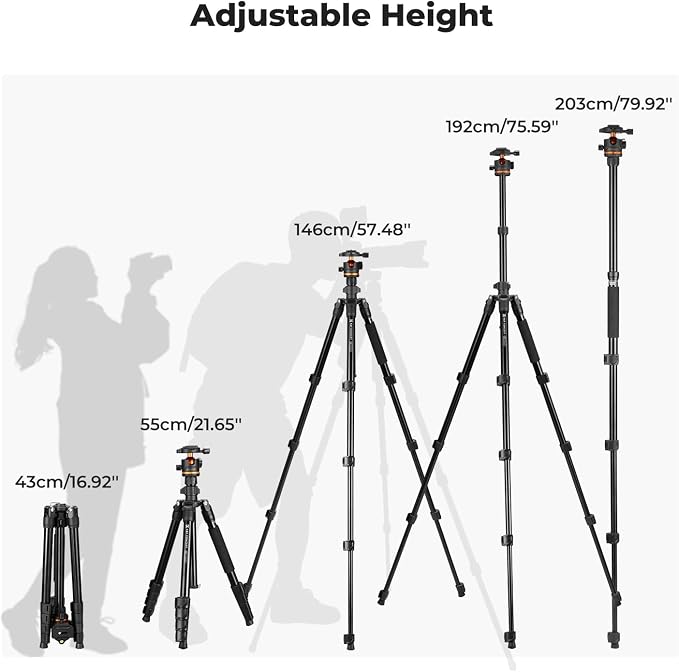 K&F CONCEPT 76" Travel Tripod for Camera | 360° Ball Head w/ Phone Holder, 17.6lbs Max Load, Detachable Monopod, Compact Tripod for DSLR/Phone, O275A5+BH-36 - Image 6