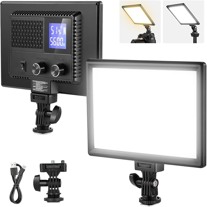 NEEWER 9" LED Video Light Panel, Dimmable DSLR Camera Soft Lighting | 4000mAh Rechargeable Battery, USB C Ports, 3200K-5600K CRI95+ 600Lux for Photography Video Recording Live Streaming, NL-116AI by Neewer