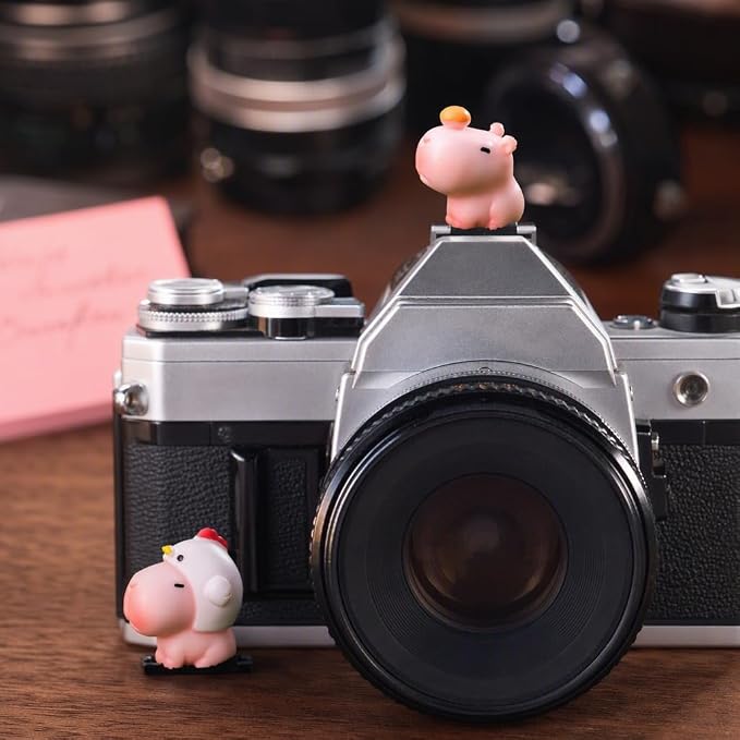 Camera Hot Shoe Cover, Cartoon Hot Shoe Cap, Hot Shoe Protector Compatible with Sony Fujifilm Fuji Canon Nikon Pentax Leical Panasonic (2pcs Pink Capybara) - Image 5