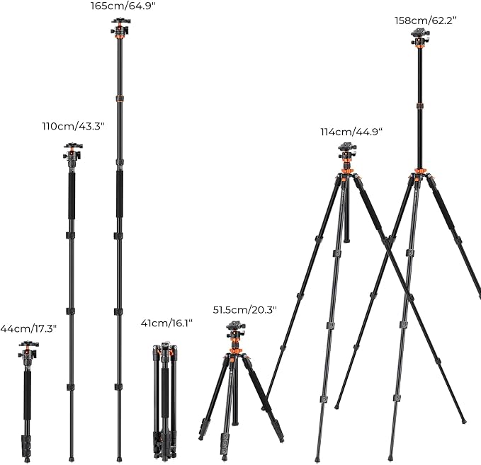K&F CONCEPT 62" Compact Aluminum DSLR Camera Tripod | Detachable Monopod Tripod, 360° Ball Head, QR Plate, 22lbs Payload for Travel/Work, O254A1+BH-28L - Image 6