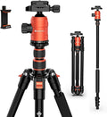 [Upgrade Version] GEEKOTO 77'' Aluminum Camera Stand & Monopod, Foldable Travel Gear with 360° Ball Head and Quick Release Plate for DSLR, Work, and Content Creation by GEEKOTO