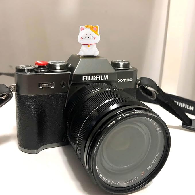 Camera Hot Shoe Cover, Cute Hot Shoe Cap, Hot Shoe Protector Compatible with Sony Fujifilm Fuji Canon Nikon Pentax Leical Panasonic (Lucky Cat) - Image 2