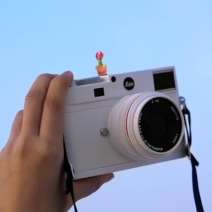 Camera Hot Shoe Cover, Cartoon Hot Shoe Cap, Hot Shoe Protector Compatible with Sony Fujifilm Fuji Canon Nikon Pentax Leical Panasonic (2pcs Happy Baby) - Image 5