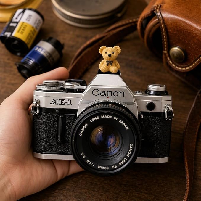 Camera Hot Shoe Cover, Cartoon Hot Shoe Cap, Hot Shoe Protector Compatible with Sony Fujifilm Fuji Canon Nikon Pentax Leical Panasonic (2pcs Bow Bear) - Image 6