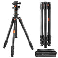 K&F CONCEPT 64" Carbon Fiber Camera Tripod with 1.4" Metal Ball Head | Lightweight Travel Tripod, Max Load 17.6lbs, Quick Release Plate, For DSLR Camera Indoor Outdoor, O254C2+BH-36 by KFCONCEPT