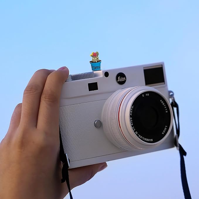 Camera Hot Shoe Cover, Cartoon Hot Shoe Cap, Hot Shoe Protector Compatible with Sony Fujifilm Fuji Canon Nikon Pentax Leical Panasonic (2pcs Friend Flower) - Image 5